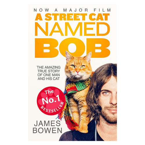 英文原版 A Street Cat Named Bob: And How He Saved My Life 一只名叫鲍勃的街头流浪猫 人与动物之间爱的力量平装小说 14岁+