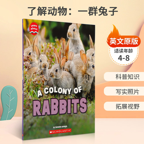 英文原版 Learn About: Animals: A Colony of Rabbits了解动物：一群兔子关于兔子绒毛的知识Children's Press出版STEAM读物
