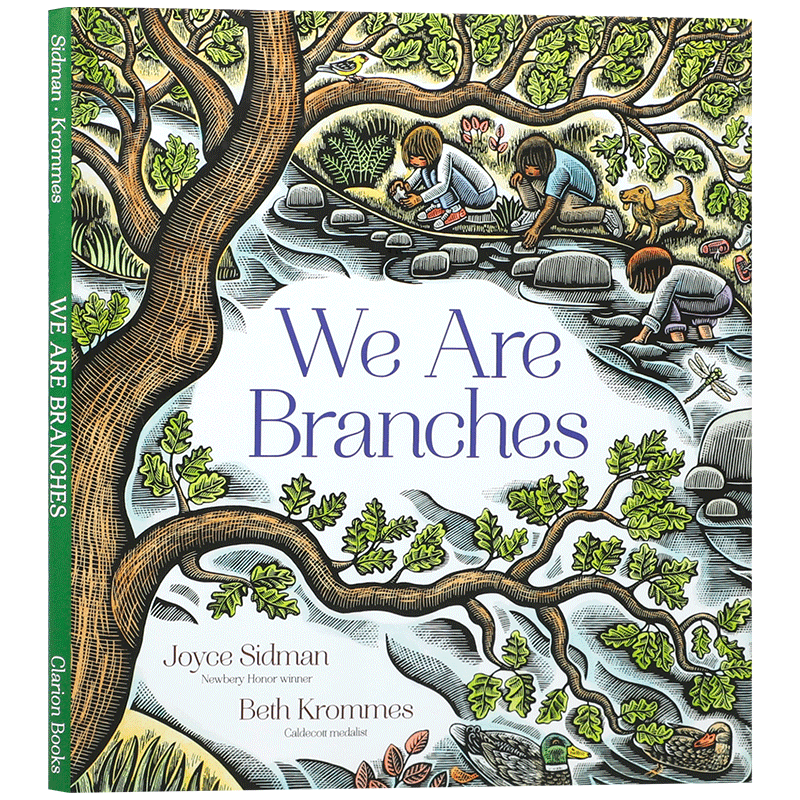 英文原版 We Are Branches 树之美 4-8岁儿童启蒙认知自然科学世界 感知生命 植物知识读本童书精装绘本