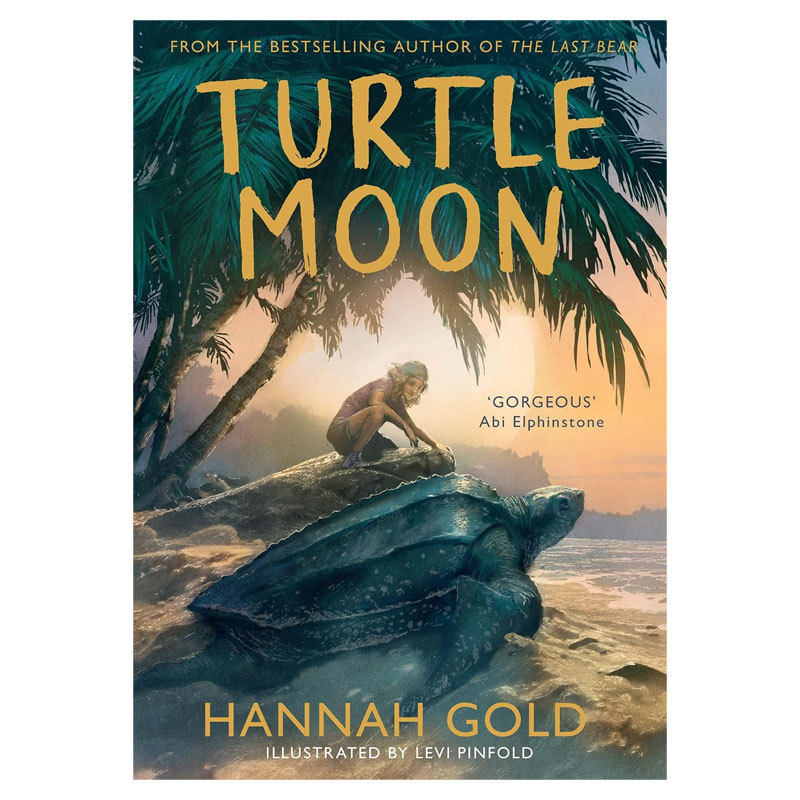 水石奖获奖作家 Turtle Moon 海龟月亮 进口英文原版冒险故事平装小说 获奖新作最后的小熊同作者 儿童课外阅读书籍 10-14岁
