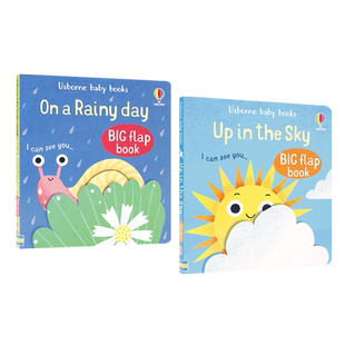 英文原版宝宝认知翻翻书 系列2本 Baby’s Big Flap Books: On a Rainy Day/Up in the Sky 2-6岁儿童互动阅读精装翻翻书