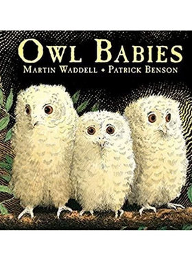 预售英文原版Owl Babies猫头鹰宝宝温馨的睡前图画书温馨故事 睡前故事 亲子共读Walker Books平装绘本2-6岁