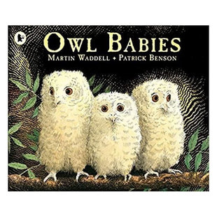 预售英文原版Owl Babies猫头鹰宝宝温馨的睡前图画书温馨故事 睡前故事 亲子共读Walker Books平装绘本2-6岁