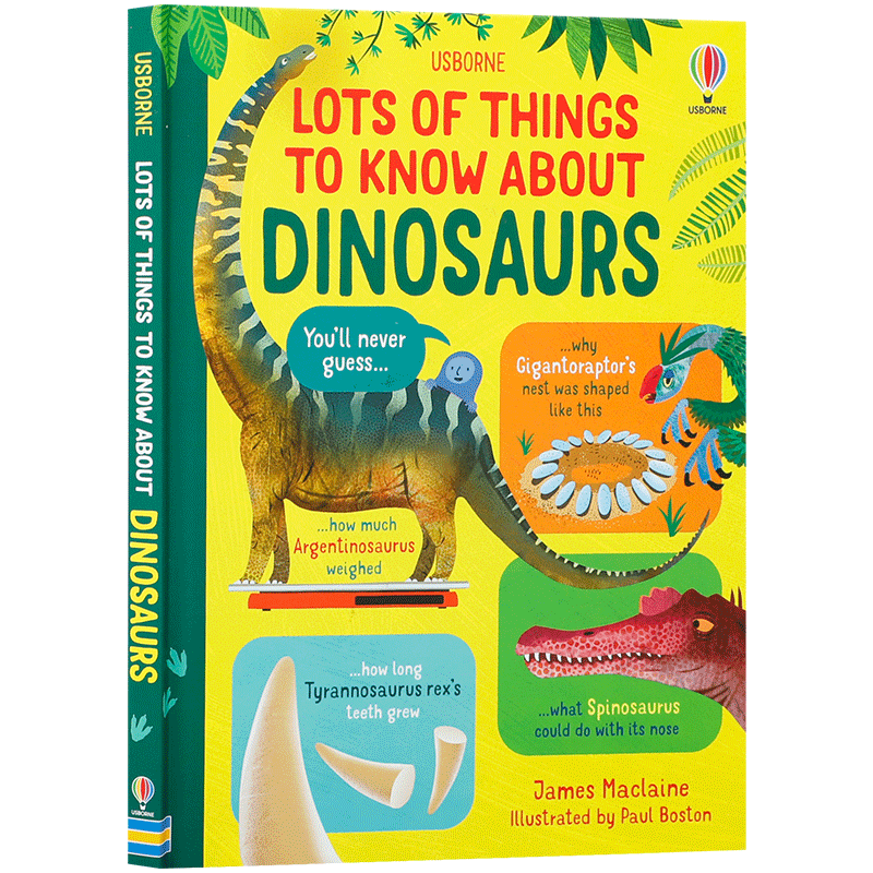 关于恐龙你所需要知道的那些事Lots of Things to Know About Dinosaurs英文原版10-14岁儿童科普知识 恐龙主题 精装绘本
