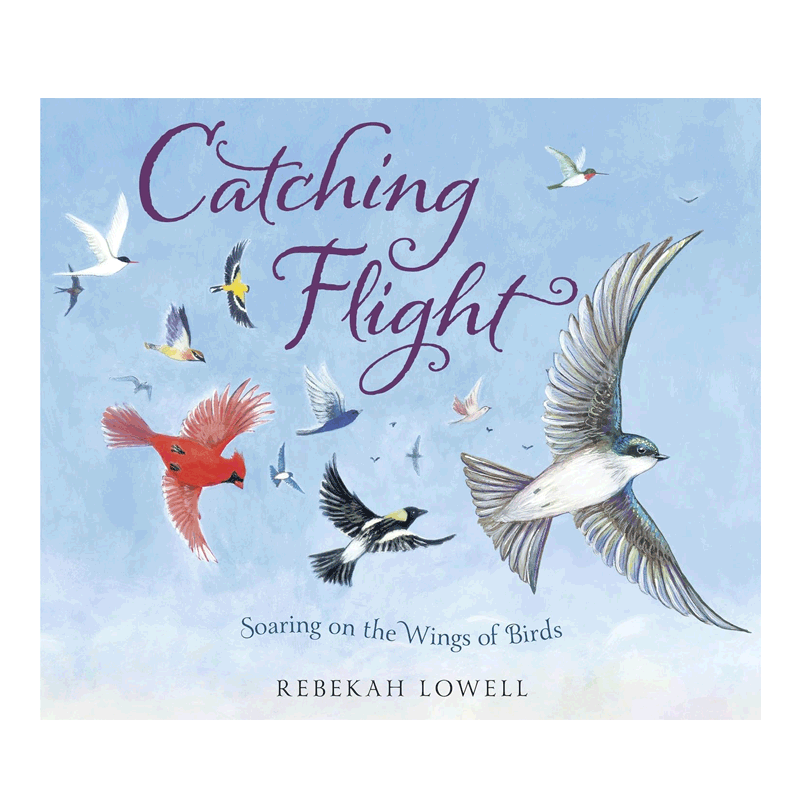 英文原版 Catching Flight抓住飞翔 关于希望和韧性的充满诗意图画书 4-8岁儿童启蒙鸟类科普 精美插图 鼓舞人心精装绘本