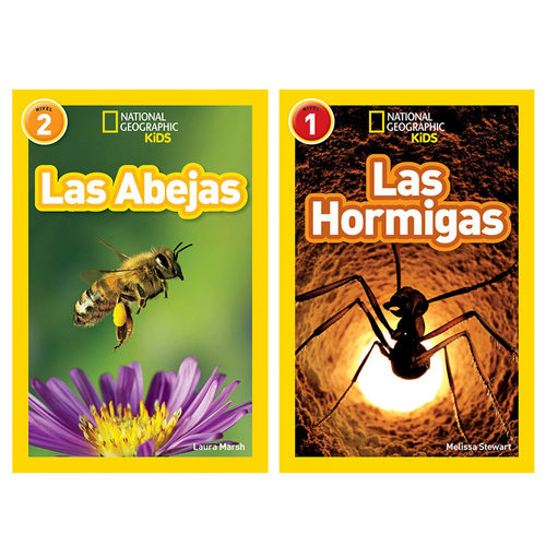 原版美国国家地理NGR1 Las Hormigas/NGR2 Las Abejas西班牙语系列2本 14岁+中小学生课外分级阅读读物 平装
