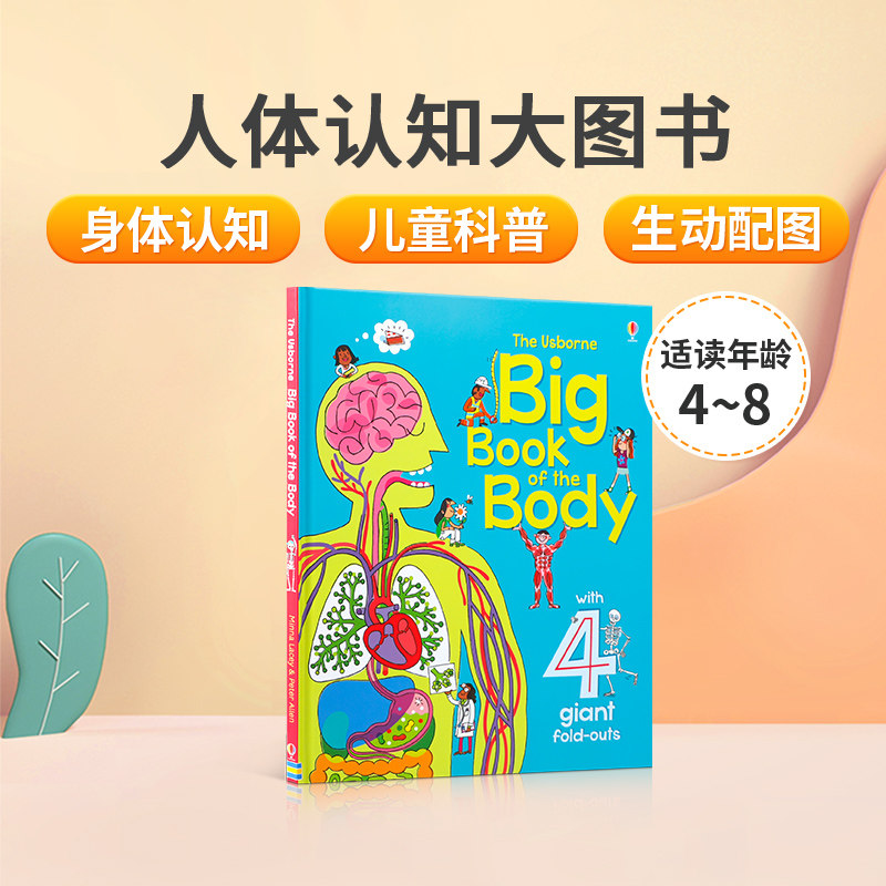 usborne人体认知大图书big book of the body 英文原版绘本 宝宝家庭