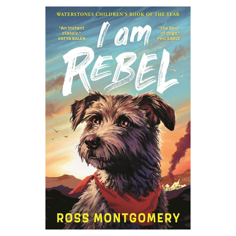 预售英文原版 I Am Rebel 我叫勒贝尔 2024年水石图书奖动物冒险 友谊故事 温馨故事 平装 小说 冒险故事 10-14岁