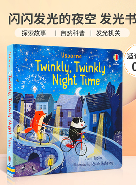 英文原版 Twinkly Twinkly Night Time 闪闪发光的夜空 发光书 感受宁静美丽的夜晚 0-2岁幼儿宝宝启蒙益智纸板书Usborne