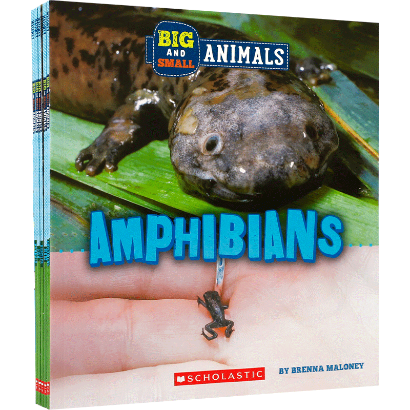 英文原版 Big and Small Animals 系列5本 4-8岁宝宝儿童科普百科认识世界课外读物STEAM Children's Press出版进口原版