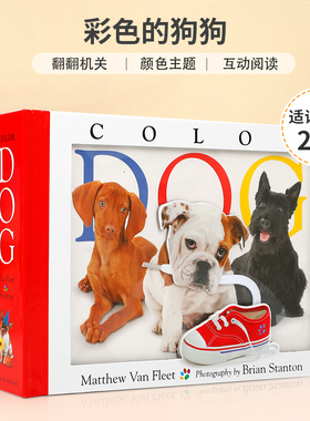 英文原版 Matthew Van Fleet: Color Dog 彩色的狗狗 趣味启蒙认知机关操作书 2-6岁幼儿宝宝基础概念认知翻翻书精装