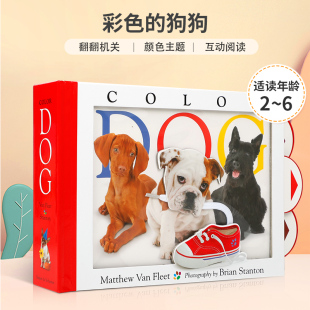 Fleet 彩色 狗狗 Dog Van Color 6岁幼儿宝宝基础概念认知翻翻书精装 英文原版 趣味启蒙认知机关操作书 Matthew