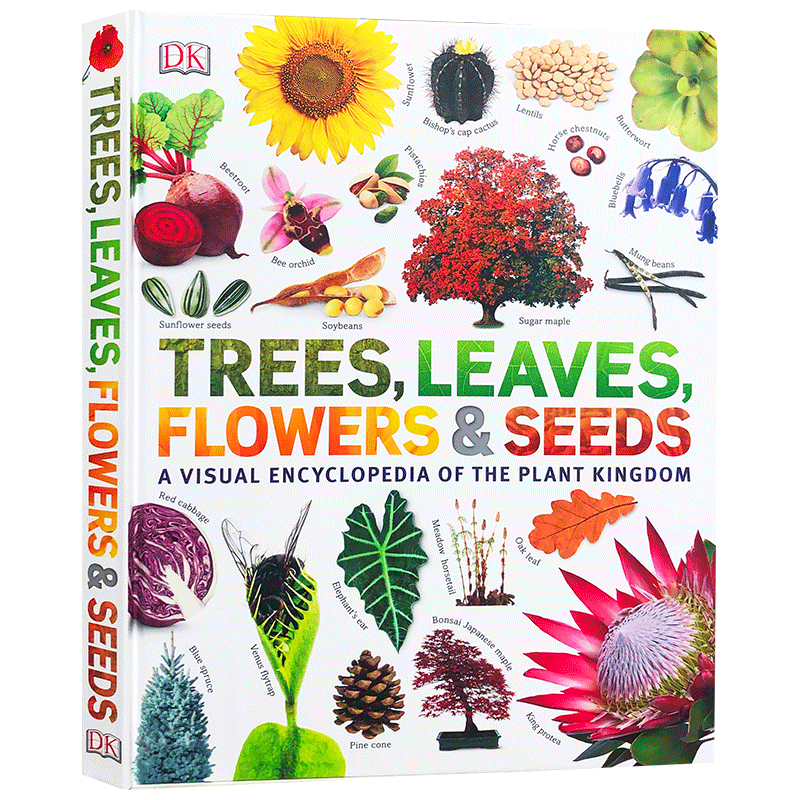 DK Trees, Leaves, Flowers and Seeds树树叶种子百科读物A Visual Encyclopedia of The Plant Kingdom英文原版植物认知绘本