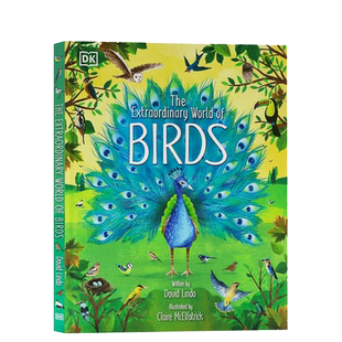 英文原版 The Extraordinary World of Birds 非凡的鸟类世界 DK少儿图解科普百科鸟类科普 儿童原版趣味益智绘本 STEAM读物
