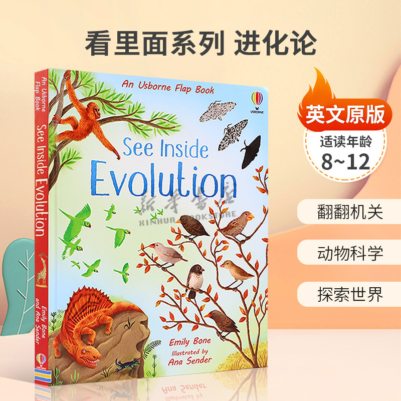 英文原版 See Inside Evolution 看里面系列 进化论 生命的进化故事 翻翻机关 动物科学 探索世界纸板书 科普百科 8-12岁