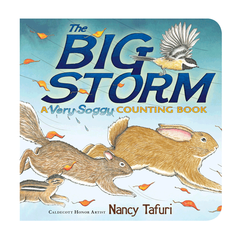 英文原版 大风暴：一本湿透的数数书The Big Storm : A Very Soggy Counting Book 2-6岁低幼儿童数数概念启蒙认知纸板书