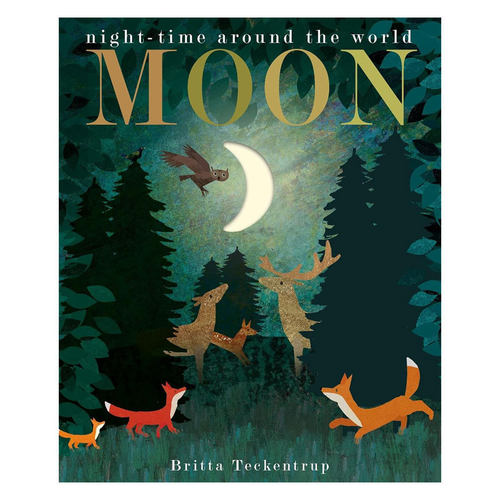 预售英文原版Moon: night-time around the world月亮 夜间的景色自然世界探索科普洞洞书纸板绘本4-8岁