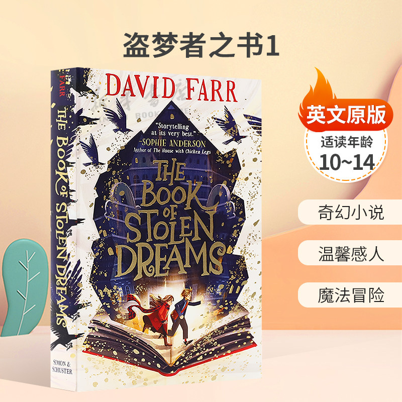英文原版The Book of Stolen Dreams #1盗梦者之书1魔法动作冒险故事奇幻小说 温馨感人 魔法冒险平装小说10-14岁