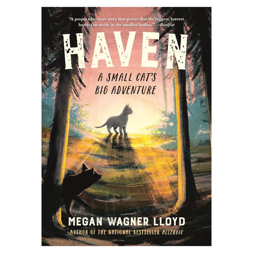 预售英文原版Haven: A Small Cat’s Big Adventure避风港小猫大冒险动物小说 自我发现 冒险故事平装小说10-14岁