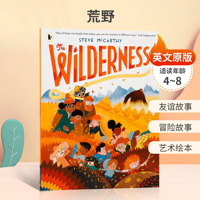 预售英文原版Steve McCarthy：The Wilderness 荒野 入围2022KPMG爱尔兰奖冒险勇气故事社交礼仪友谊 4-8岁儿童启蒙艺术绘本