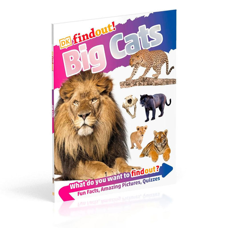 英文原版DKfindout! Big CatsDK小发现 大型猫科动物有关大型猫科动物的所有信息趣味科普 动物百科 图文并茂平装STEAM读物