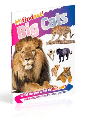 预售英文原版DKfindout! Big CatsDK小发现 大型猫科动物有关大型猫科动物的所有信息趣味科普 动物百科 图文并茂平装STEAM读物