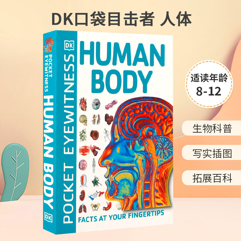 英文原版 Pocket Eyewitness Human Body DK口袋目击者 人体 了解你的身体是如何工作的 8-12岁少年儿童科普百科STEAM读物