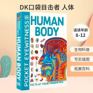 英文原版 Pocket Eyewitness Human Body DK口袋目击者 人体 了解你的身体是如何工作的 8-12岁少年儿童科普百科STEAM读物