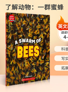 英文原版 Learn About: Animals: A Swarm of Bees了解动物：一群蜜蜂了解有趣的昆虫群居Children's Press出版适用