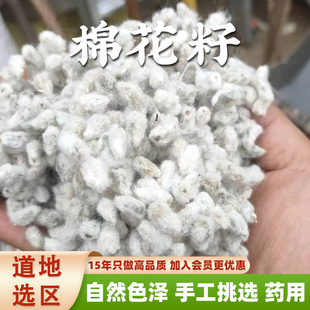 新疆天然棉花籽中药材正品新货手选无硫棉花籽儿药用500g棉籽仁