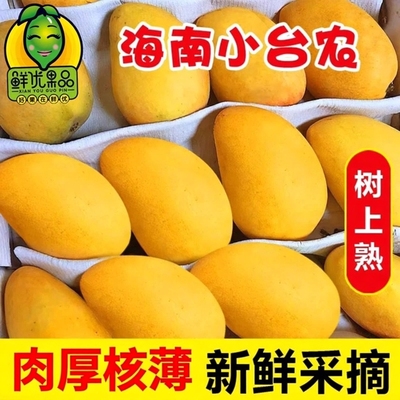 四川攀枝花青皮凯特芒果新鲜水果