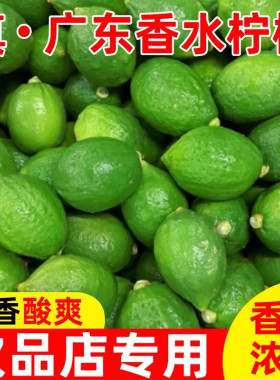 广东香水柠檬现货5斤采摘免邮