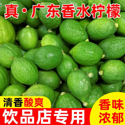 广东香水柠檬现货青柠檬5斤新鲜采摘免邮无籽柠檬水果奶茶店专用