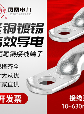 凤凰 铜接线端子JG-10/16/25/35/50/70镀锡线鼻子管 压短尾 批发