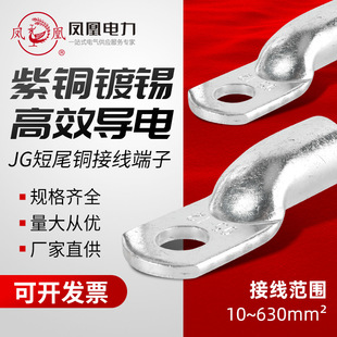 凤凰 铜接线端子JG-10/16/25/35/50/70镀锡线鼻子管 压短尾 批发