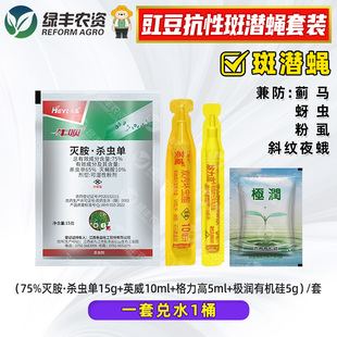 豇豆抗性斑潜蝇组合兼防蓟马蚜虫粉虱斜纹夜蛾