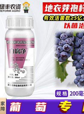 白腐净地衣芽孢杆菌解磷解钾菌肥防根腐病防葡萄白腐病穗轴褐枯病
