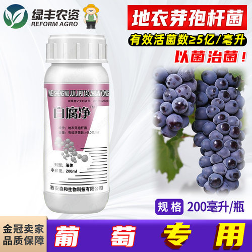 地衣芽孢杆菌菌肥白腐净葡萄专用