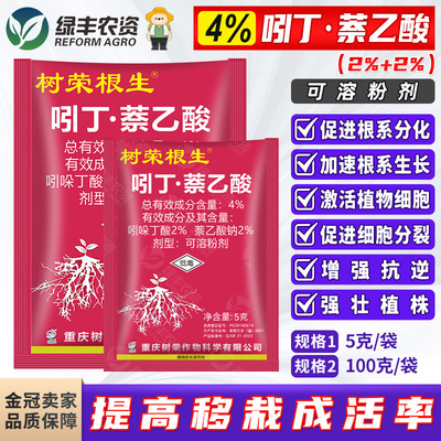 提高移栽成活率促进细胞分裂生根