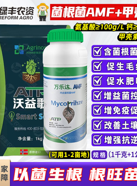 挪威进口AMF菌根菌+甲壳素促生根改善土壤抗根结线虫果树水溶肥料