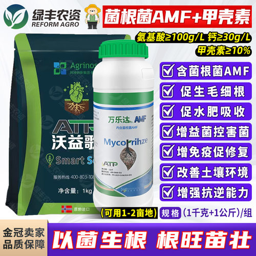 挪威进口爆根组合改善土壤抗线虫