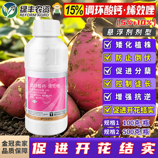 15%调环酸钙烯效唑水稻大田防倒伏矮化控旺药促花促果生长调节剂