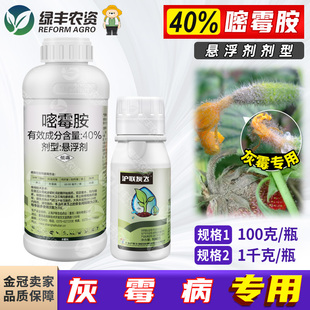 沪联灰飞40%嘧霉胺悬浮剂 黄瓜灰霉病专用药农用杀菌剂正品农药