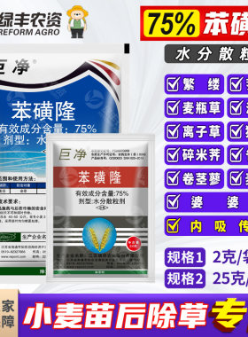 冬小麦田苗后专用除草剂