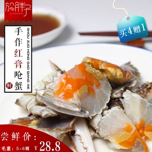 宁波特产红膏蟹咸蟹红膏呛蟹梭子蟹蟹酱舟山海鲜炝蟹醉蟹整只即食
