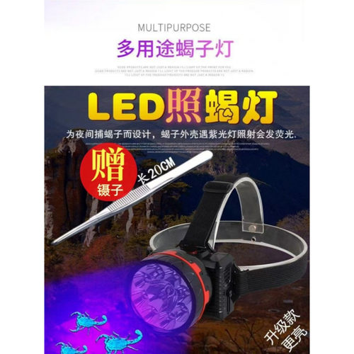 头戴式露营超亮夜钓可充电强紫光