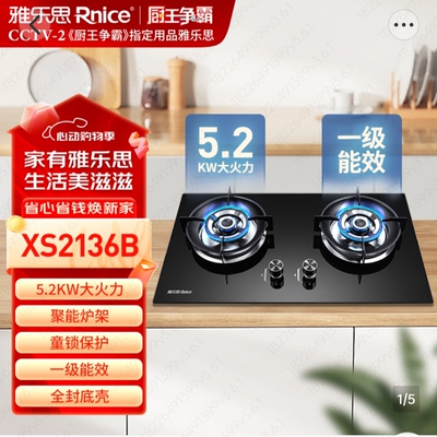 雅乐思燃气灶XS2136B大火力5.2kw猛火灶家用液化气天然气灶双眼灶