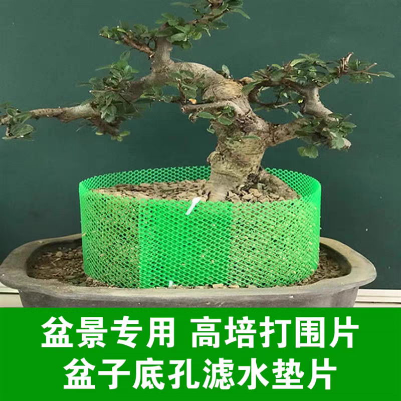花盆围挡花盆底孔垫网花盆加高围圈加高围栏打围网生桩控根器围挡