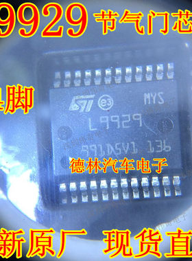 L9929 L9929XP 大乌龟汽车发动机电脑板怠速节气门驱动芯片24脚