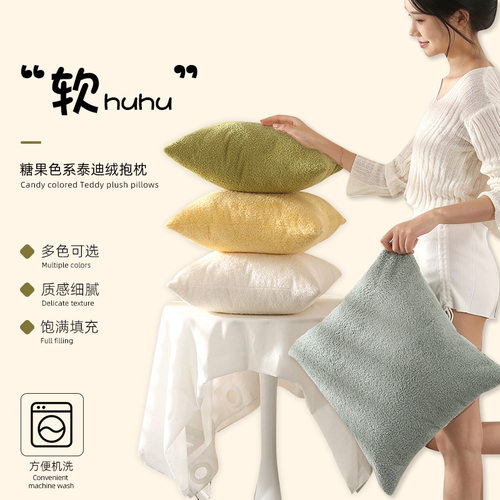 ins泰迪绒抱枕沙发靠枕套靠垫四季办公室午睡枕头汽车腰靠背飘窗